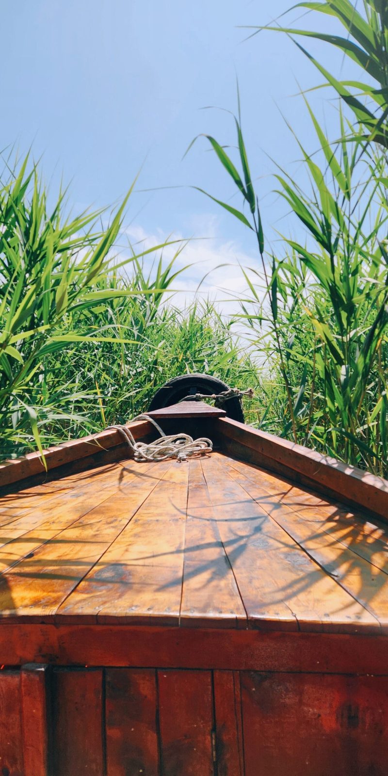 Paweł Kurzawa Czarnogórze
Przewodnik Czarnogóra
Jezioro Szkoderskie