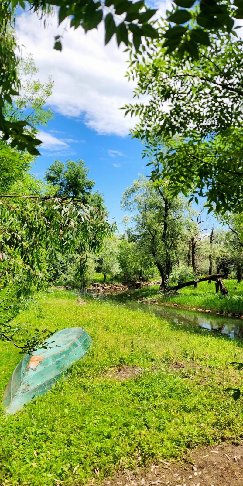Paweł Kurzawa CzarnogórzePrzewodnik Czarnogóra Jezioro Szkoderskie