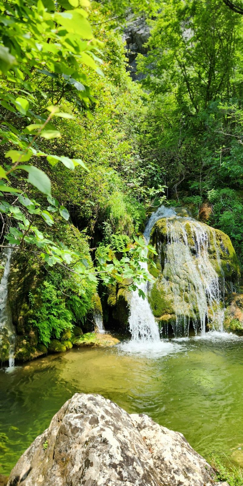 Paweł Kurzawa CzarnogórzePrzewodnik Czarnogóra Jezioro Szkoderskie
