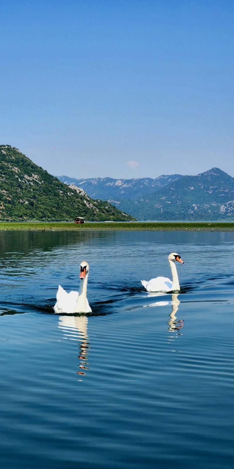 Paweł Kurzawa CzarnogórzePrzewodnik Czarnogóra Jezioro Szkoderskie