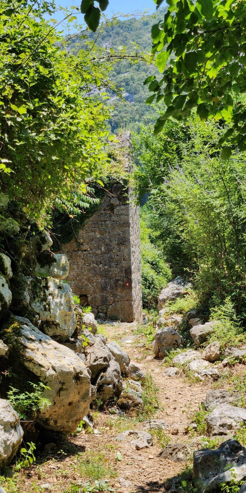 Paweł Kurzawa CzarnogórzePrzewodnik Czarnogóra Jezioro Szkoderskie