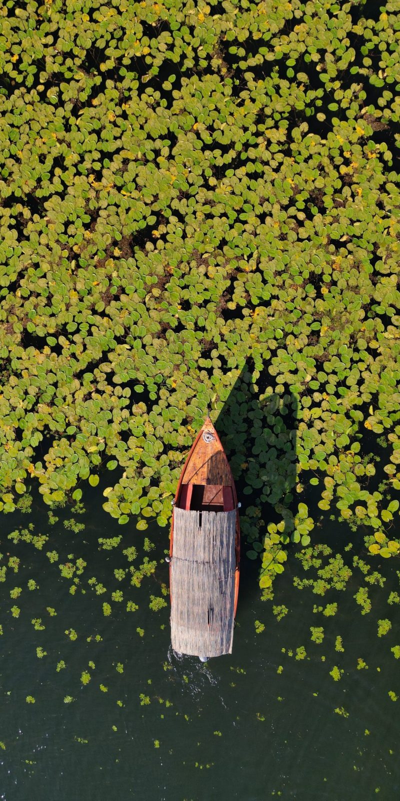Paweł Kurzawa CzarnogórzePrzewodnik Czarnogóra Jezioro Szkoderskie